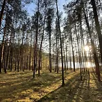 Дом отдыха Oaza - Unikalne I Wyjatkowe Miejsce W Borach Tucholskich