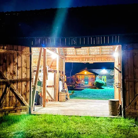 Oaza - Unikalne I Wyjątkowe Miejsce W Borach Tucholskich Cis