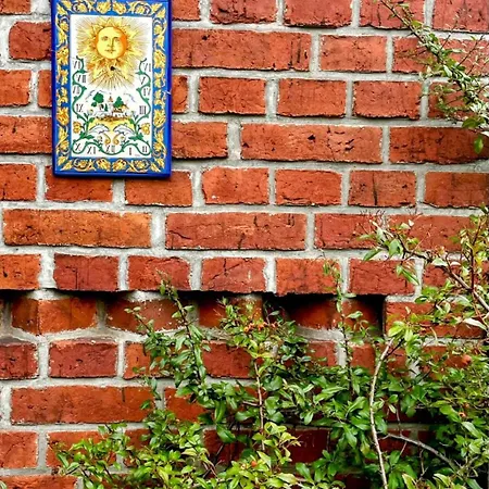 Dom wakacyjny Oaza - Unikalne I Wyjątkowe Miejsce W Borach Tucholskich Cis